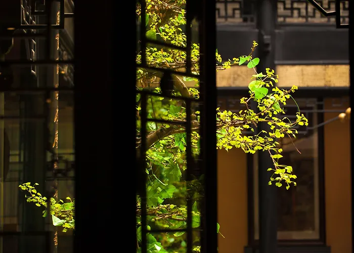Buddha Zen Hotel